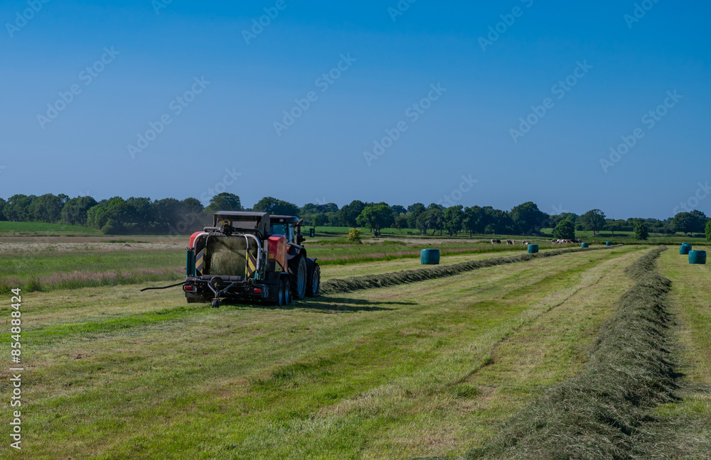 Fototapeta premium Schwarzer Treker oder Traktor mit einer roten Stroh Festkammerpresse bei der Strohernte auf einem gemähten Feld