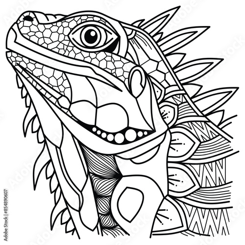 Hand drawn head of iguana