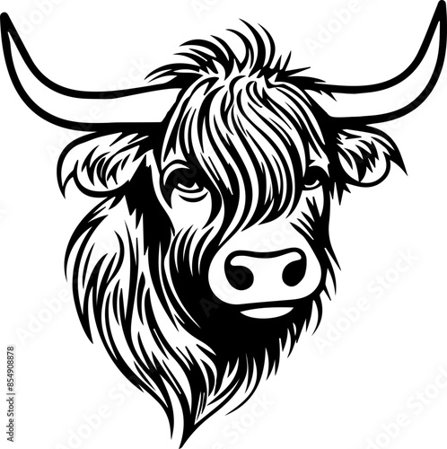 scottish highland cow vector transparent background PNG clipart