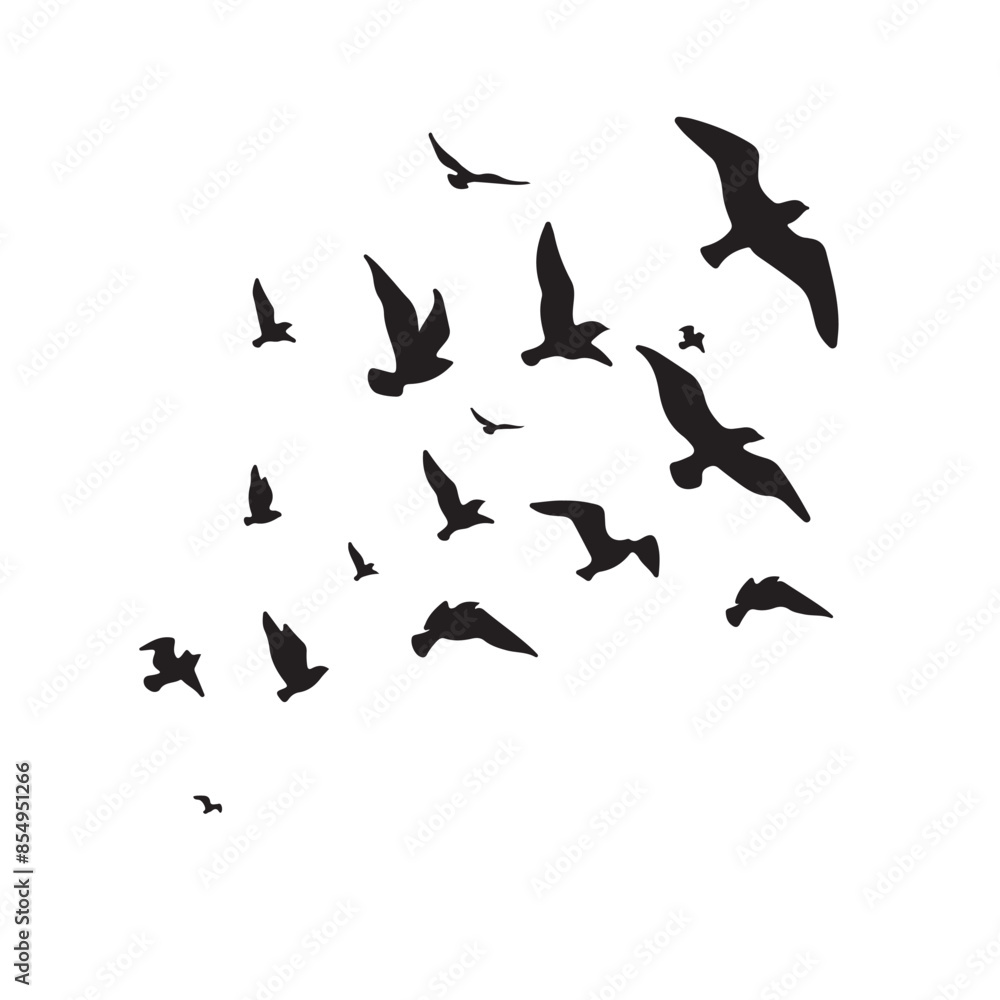 birds in flight birds in flight