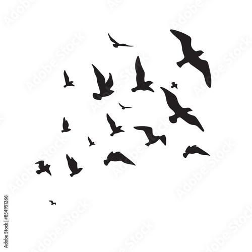 birds in flight © Jumaidi Rahman