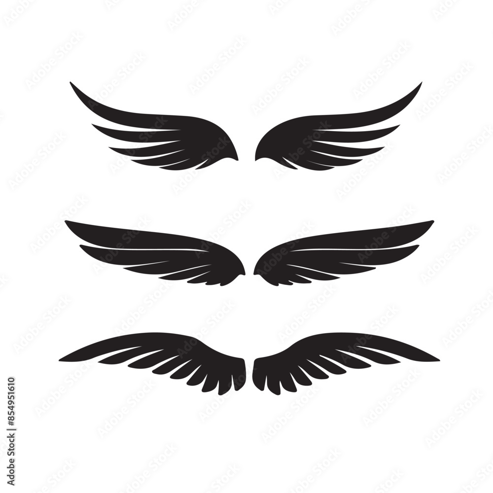 Obraz premium wings vector