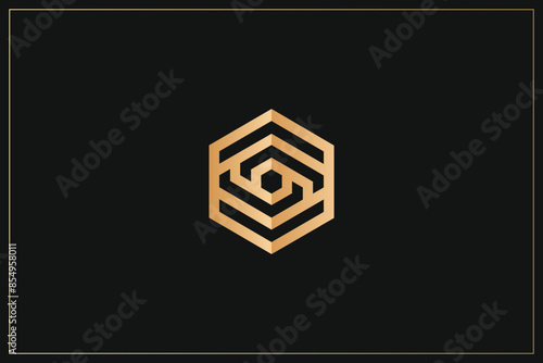 Hexagon Digital Multimedia Brand Logo