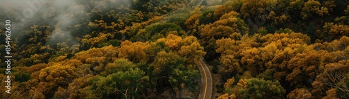 Aerial view of lush forest in autumn with mist, showcasing a winding path surrounded by vibrant foliage in warm, golden hues. © PBMasterDesign