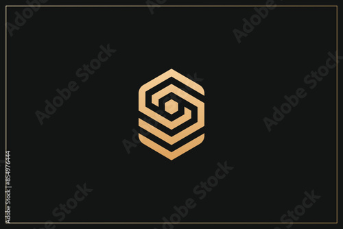 Hexagon Digital Multimedia Brand Logo