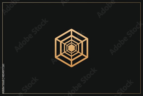 Hexagon Digital Multimedia Brand Logo