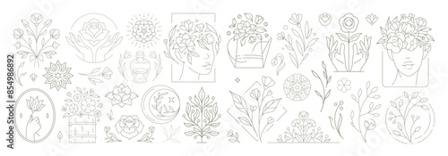 Beautiful flowers collection with botanical plants and leaves. Decorative line art flower emblems.