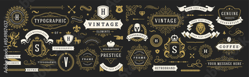 Vintage typographic decorative ornament design elements set vector illustration