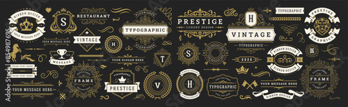 Vintage typographic decorative ornament design elements set vector illustration
