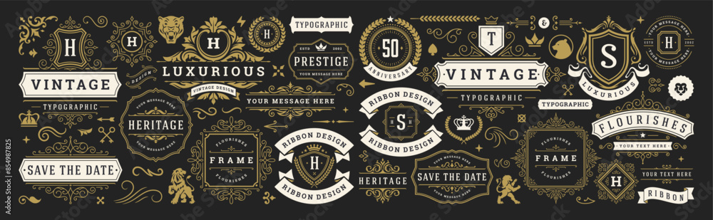 Vintage typographic decorative ornament design elements set vector illustration