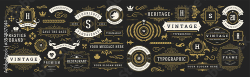 Vintage typographic decorative ornament design elements set vector illustration