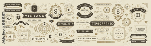 Vintage typographic decorative ornament design elements set vector illustration