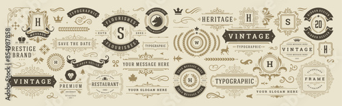 Vintage typographic decorative ornament design elements set vector illustration