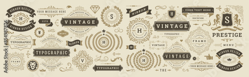Vintage typographic decorative ornament design elements set vector illustration