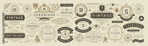 Vintage typographic decorative ornament design elements set vector illustration