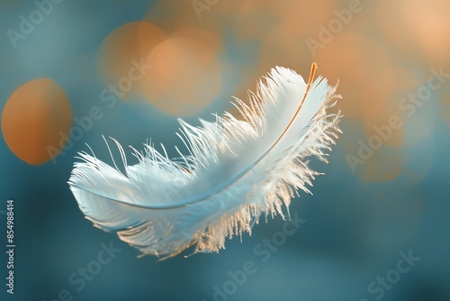 A feather drifts down, a silent dance on the breeze