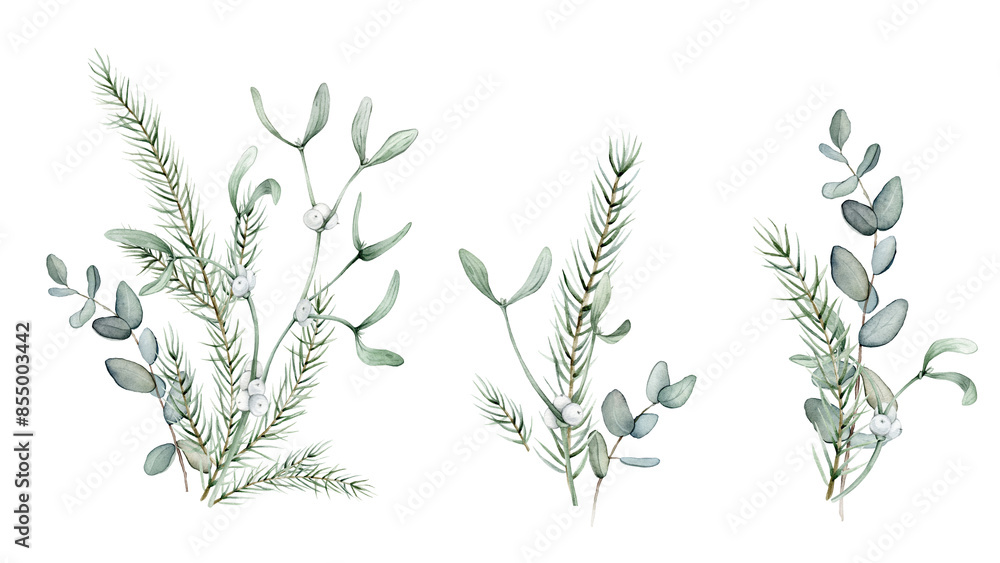 Fototapeta premium New Year's set of green plants eucalyptus and white mistletoe. Coniferous forest branches of spruce or fir. Watercolor hand drawing illustration on isolated white background.