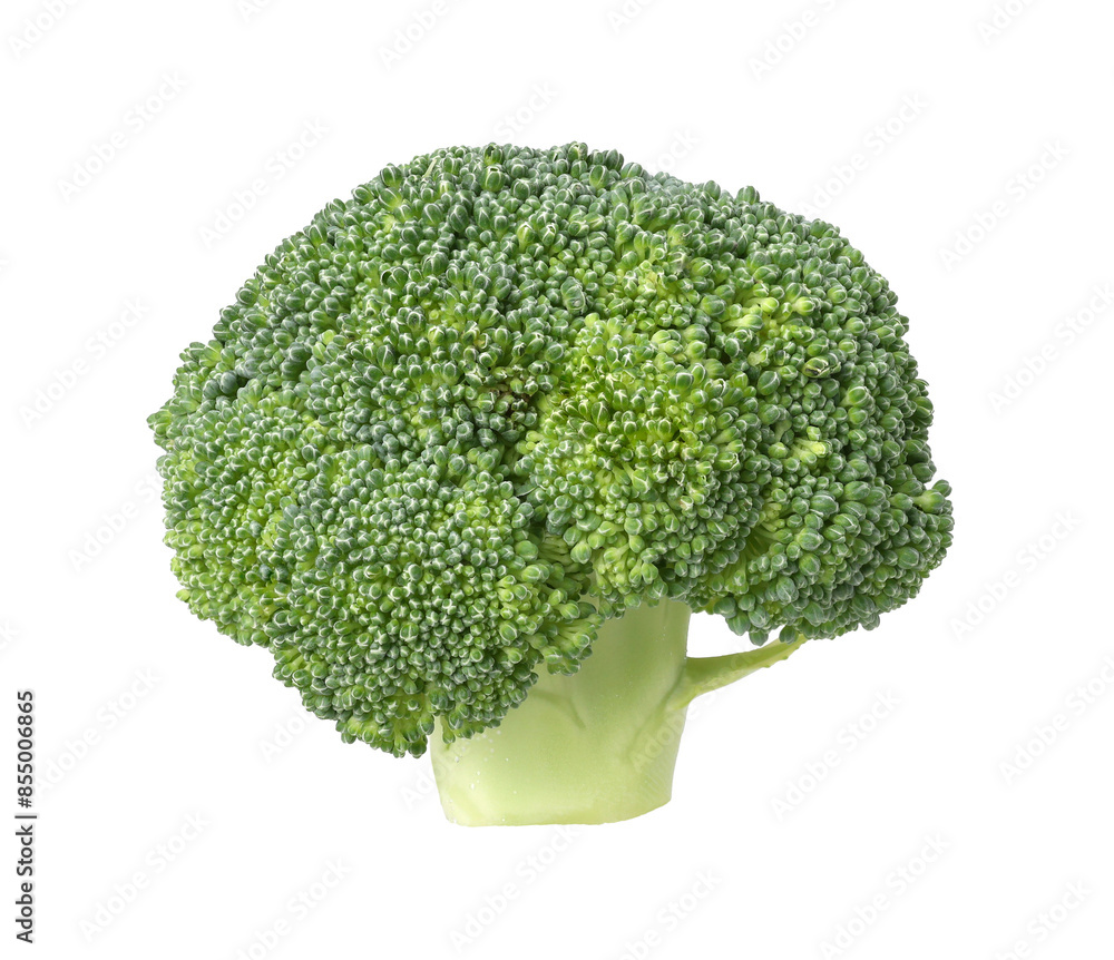 fresh green broccoli pieces isolated, transparent PNG , PNG format, single fresh green broccoli pieces isolated, transparent PNG , PNG format, single