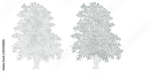 Arbre5