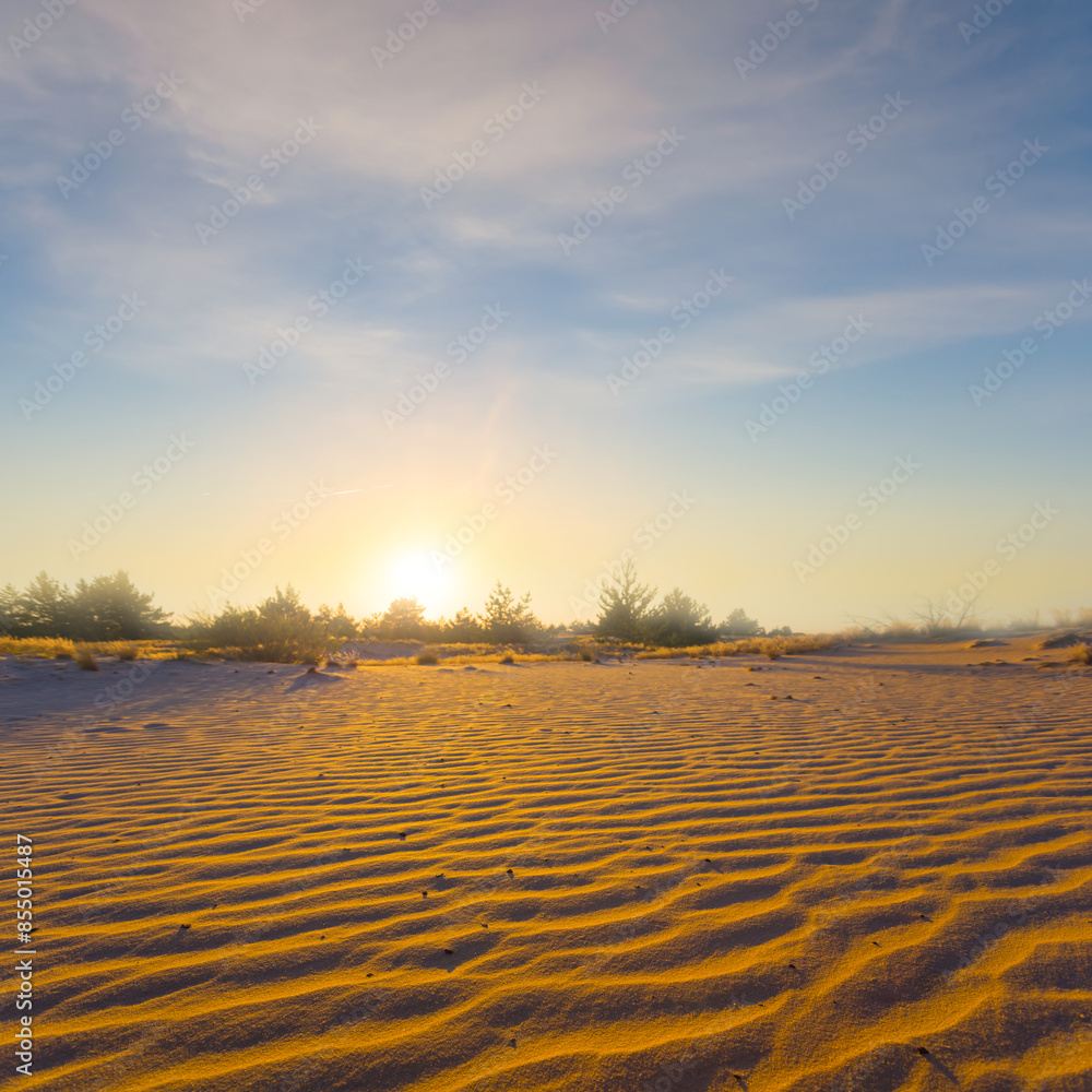 Fototapeta premium wide sandy desert at the dramatic sunset