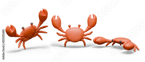 Realistic crab in different positions. Red crustacean creature. Sea dweller