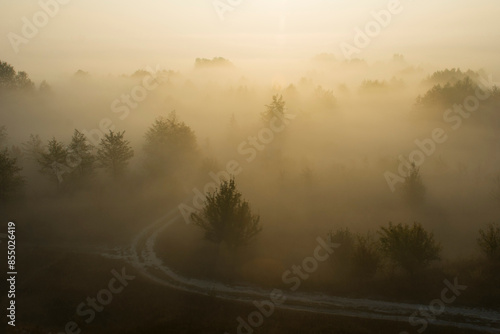 Fog in the autumn morning, trees and mountains in the fog, natural natural background.