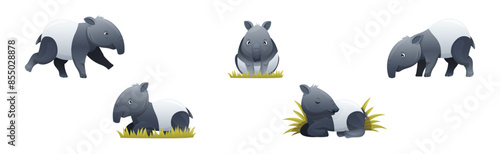 Cute Malayan Tapir as Asian Animal with White Patch and Short Nose Trunk in Different Pose Vector Set
