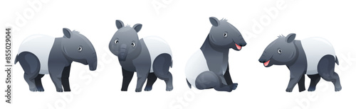 Cute Malayan Tapir as Asian Animal with White Patch and Short Nose Trunk in Different Pose Vector Set