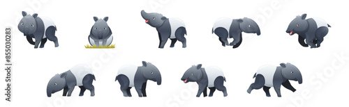 Cute Malayan Tapir as Asian Animal with White Patch and Short Nose Trunk in Different Pose Vector Set