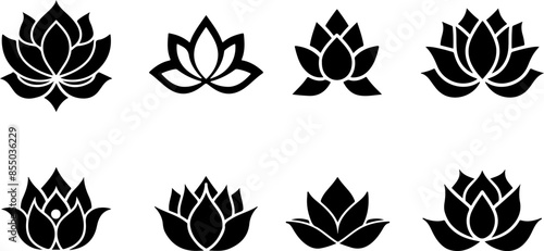 Silhouette of lotus flower