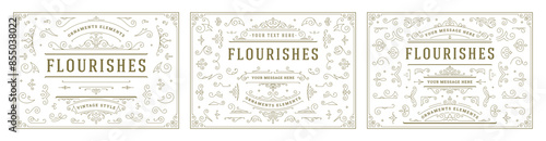 Vintage ornaments swirls and scrolls decorations design elements vector set