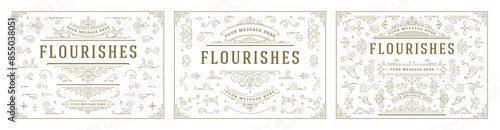 Vintage ornaments swirls and scrolls decorations design elements vector set