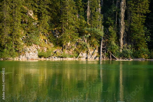 green lake in the woods