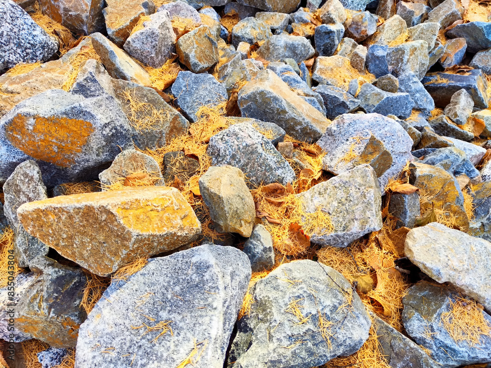 Closeup of rocks and orange dried leaves on the ground. Background, texture, frame, pattern, place for text, copy space Closeup of rocks and orange dried leaves on the ground. Background, texture, frame, pattern, place for text, copy space