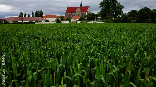 Corn Fields Towards The Palace of Marianna Orańska Zamkowa In Kamieniec Ząbkowicki, Poland. Aerial Drone Shot
 photo