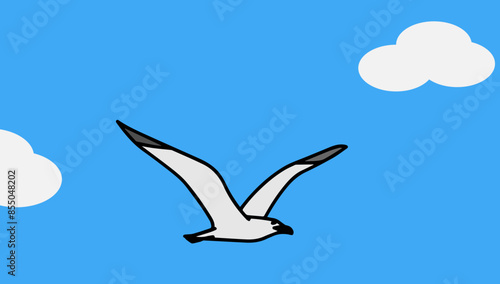 A seagull flies against a background of blue sky and clouds