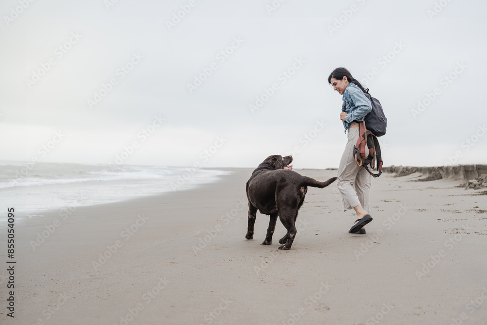 Woman walking an elderly Labrador dog on the beach on an autumn day Woman walking an elderly Labrador dog on the beach on an autumn day