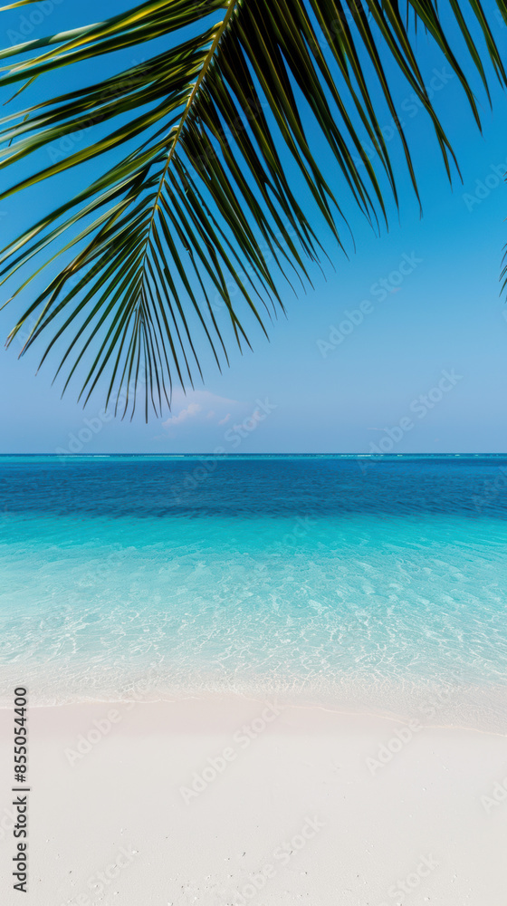 A palm tree is in the foreground of a beautiful blue ocean A palm tree is in the foreground of a beautiful blue ocean