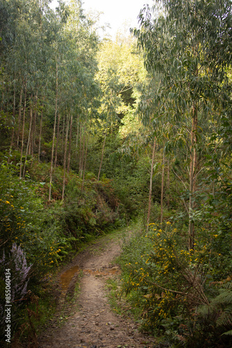 Along the Camino del Norte in Spain