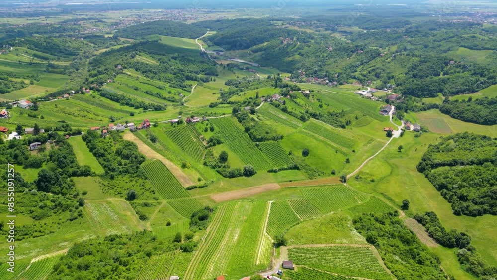 Aerial photos captures the beautiful fields of the Plešivica (Plesivica) wine region in Croatia. The image showcases picturesque hills covered with vineyards and cozy village Aerial photos captures the beautiful fields of the Plešivica (Plesivica) wine region in Croatia. The image showcases picturesque hills covered with vineyards and cozy village