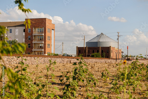 An urban area next to an industrial area near the railway tracks with weeds and sunflowers in the foreground.