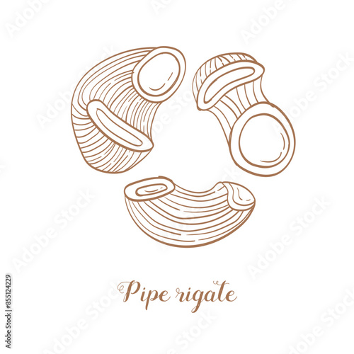 Pipe rigate pasta illustration. Vector sketch. Traditional Italian food. Hand-drawn image. Isolated icon