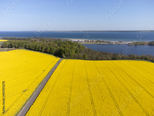 Drohnenfoto von Rapsfeldern an der Eckernförder Bucht, Schleswig-Holstein,Deutschland