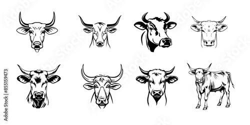 set of cattle cow animal illustration