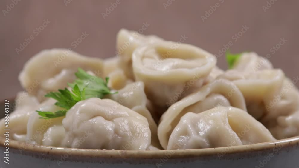 dumpling with meat in bowl rotation food dumpling with meat in bowl rotation food