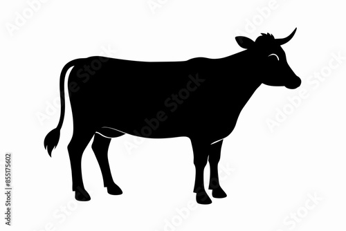black silhouette cow