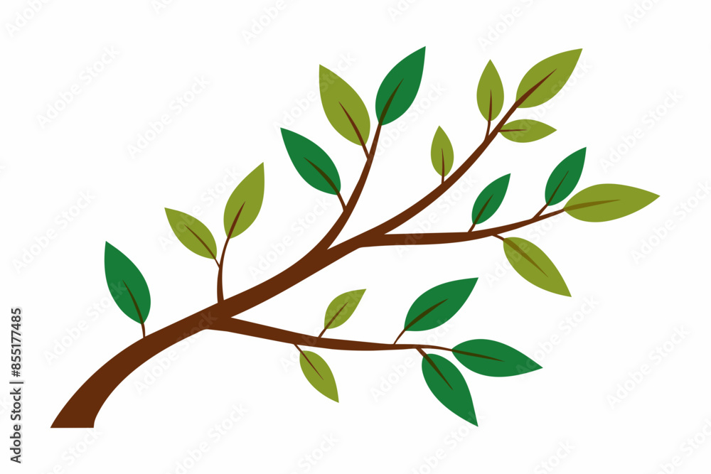 Fototapeta premium branches vector illustration white background