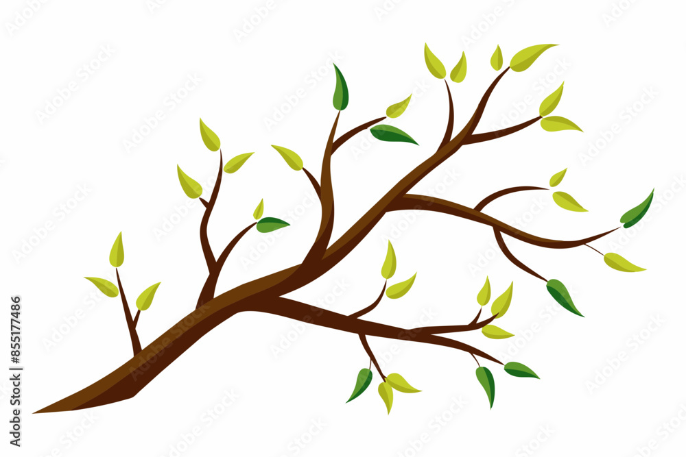 Obraz premium branches vector illustration white background