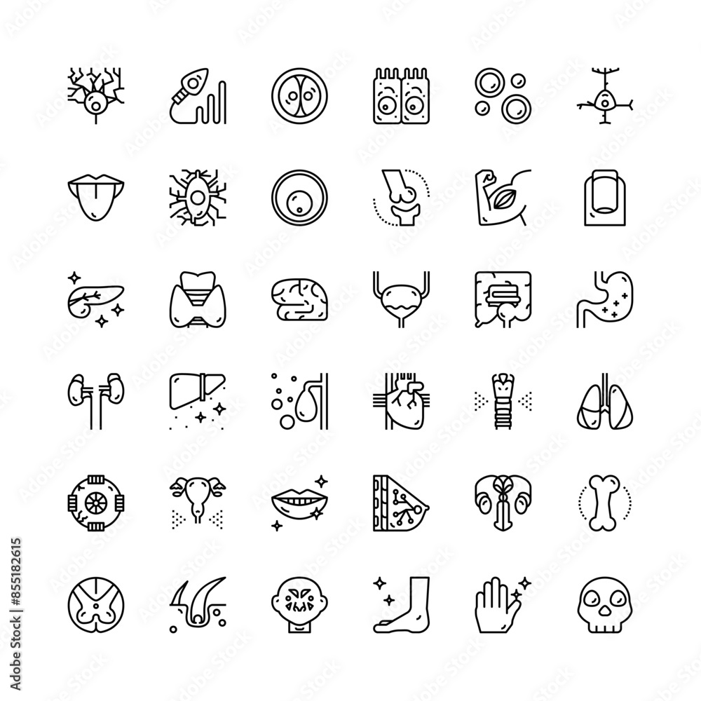 Human Internal Organ Thin line vector icon set Human Internal Organ Thin line vector icon set