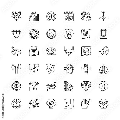 Human Internal Organ Thin line vector icon set